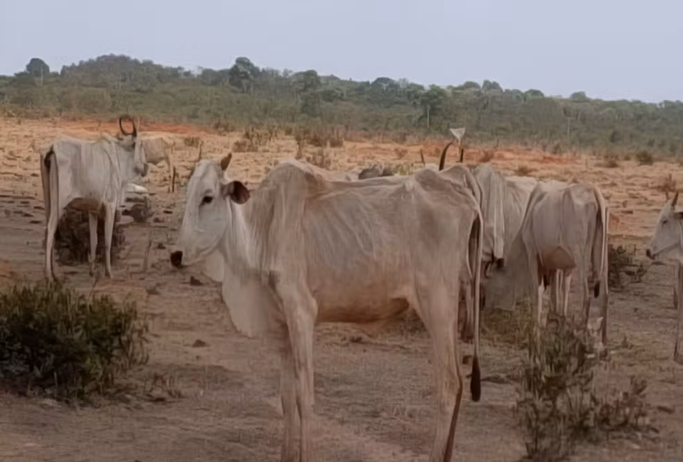 canva-2025-11-28t061345.974